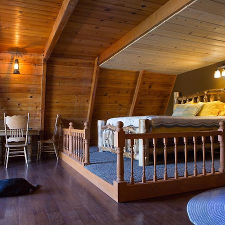 Hicksville Pines Chalets & Motel Idyllwild Luaran gambar