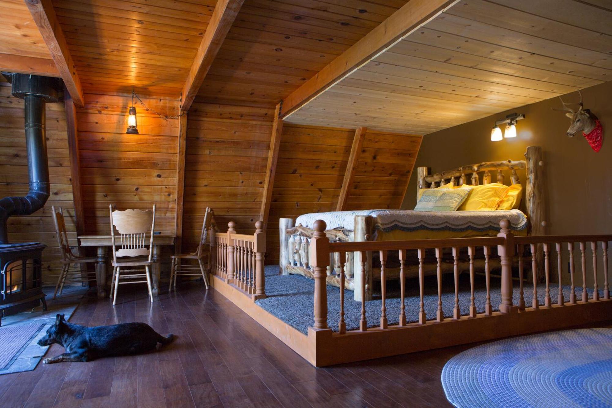 Hicksville Pines Chalets & Motel Idyllwild Luaran gambar